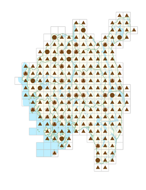 Leucanthemum vulgare.png