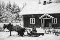 32. Levorstad hesteskyss.png