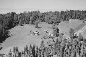 Lia (Kongsvinger gnr. 40 9) 1956.jpg