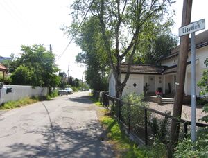 Liaveien Oslo 2013.jpg