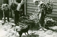 16. Lid, Rogaland - Riksantikvaren-T247 01 0066.jpg