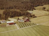 165. Lie-gårder i Bingen (Øvre Eiker) - WF442.jpg