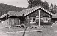 3. Lien Nordre (Skogstykket Nørdsti-Lien), Hedmark - Riksantikvaren-T116 01 0039.jpg