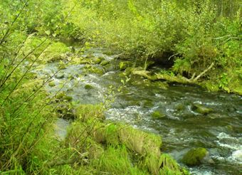 Lierfossen Akershus.JPG