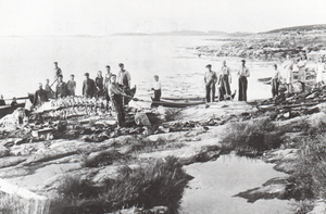 Likholmen under Sanna Sande Træna 1943 hvalflensing.png