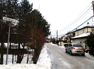 Lille Borgen vei Oslo 2015.jpg