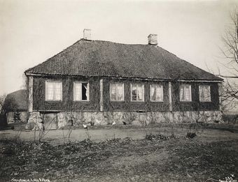 Lille Frøen Wilse.jpg