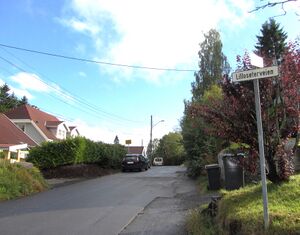 Lilloseterveien Oslo 2013.jpg