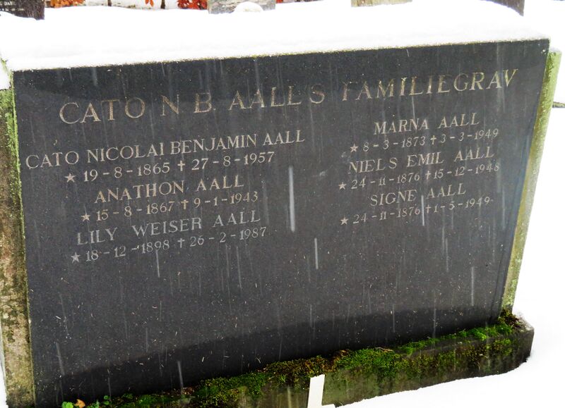 Anathon Aall lokalhistoriewiki.no