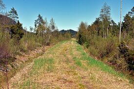 Rester av traséen for industrijernbanen over Rismyra, i dag turvei/skiløype om vineteren. Foto: Morten Stene/Steinkjerleksikonet (2017).
