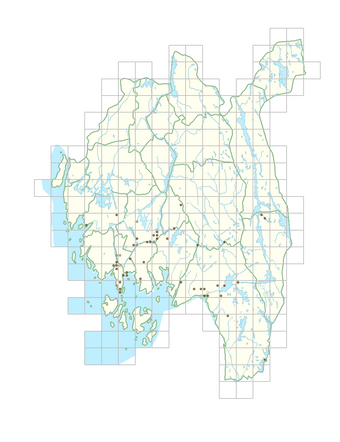 Linaria repens 1.png