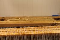 250. Lindebarkvev 01.JPG