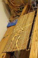 253. Lindebarkvev 04.JPG