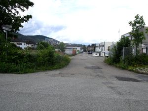 Linveverstredet Drammen 2015.JPG