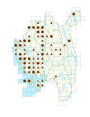 Lipandra polysperma.png