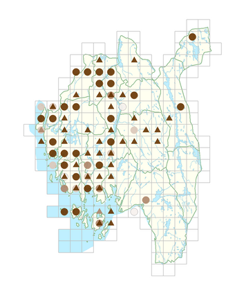 Lipandra polysperma.png