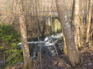 Ljanselva Liadalen Oslo 2012.jpg