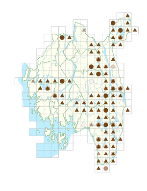 Lobelia dortmanna.png