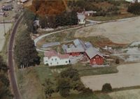 167. Loe - Hokksund WF229.jpg