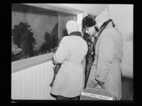 492. Lofoten, akvarium - no-nb digifoto 20150210 00092 NB MIT FNR 16830.jpg