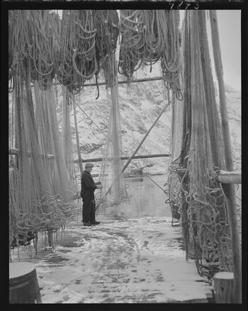 Lofotfiske - no-nb digifoto 20151126 00022 NB MIT FNR 09843.jpg