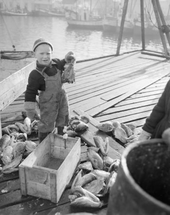 Lofotfiske - no-nb digifoto 20151126 00023 NB MIT FNR 09829.jpg