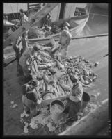 285. Lofotfiske - no-nb digifoto 20151126 00032 NB MIT FNR 09838.jpg