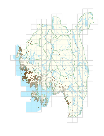 Lonicera periclymenum 1.png