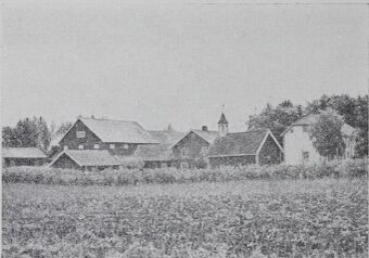 Lundgård lille.JPG