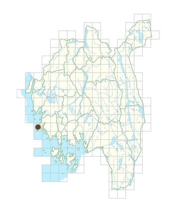 Lupinus nootkatensis.png