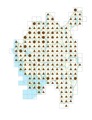 Lupinus polyphyllus.png