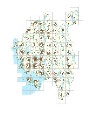 Lupinus polyphyllus 1.png