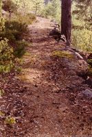 274. Lurdalsveien på Fiskum (oeb-201432).jpg