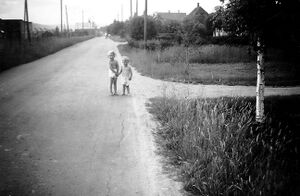 Lurud i Fetveien.jpg