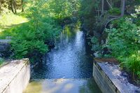 Utløpet som Lutvannsbekken fra Lutvann. Foto: Kjetil Ree (2014).