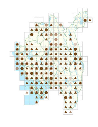 Luzula campestris.png