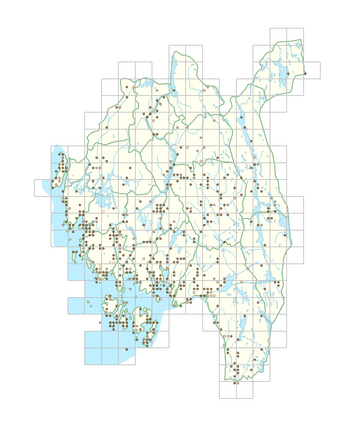 Luzula campestris 1.png