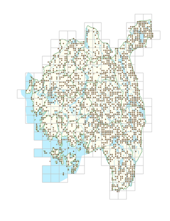 Luzula multiflora subsp. multiflora 1.png