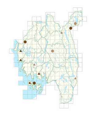 Luzula pallescens.png