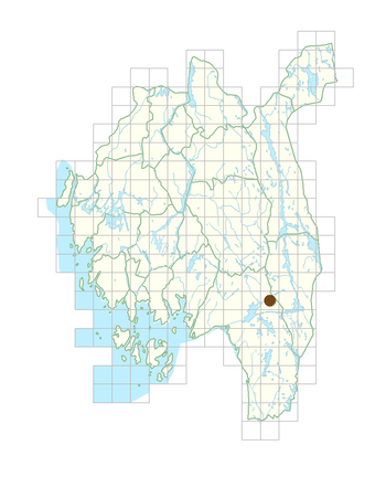 Luzula sylvatica.png