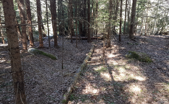 Lw Øvre Skaug (Tyristrand), hustufter.png