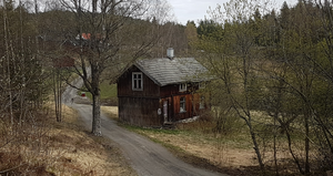 Lw Allergodt under Stigsrud (Nakkerud) 2020.png