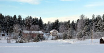 Lw Bjørkerud under Berggården (Nakkerud) 2025 2.png