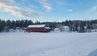 Lw Enga under Stigsrud (Nakkerud) 2025.png