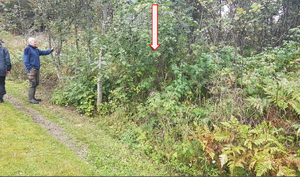 Lw Frågått under Øvre Heieren 2019, plassering antydet 1.png