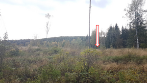 Lw Gårudenga under Gårud 1 2019.png