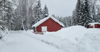 Lw Grinna (Ringstua) under Ringerike Nikkelverk 2024.png