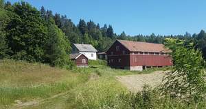 Lw Karlsrud under Kolkinn (Nakkerud) 2020.png