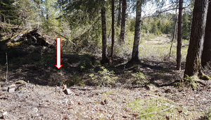 Lw Nedre Bergom under Skamarka (Tyristrand) 2020 1.png