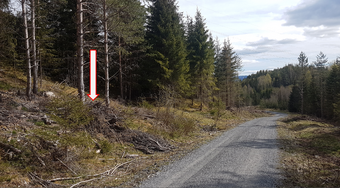 Lw Nordby 2020 1, plassering antydet.png